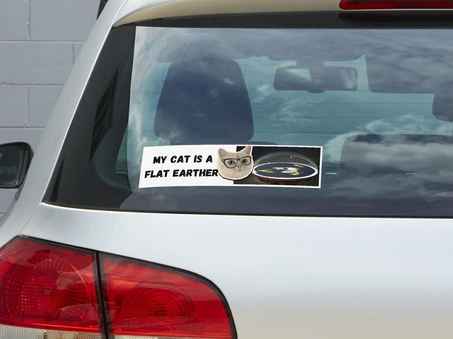 My Cat is a Flat Earther Sticker
