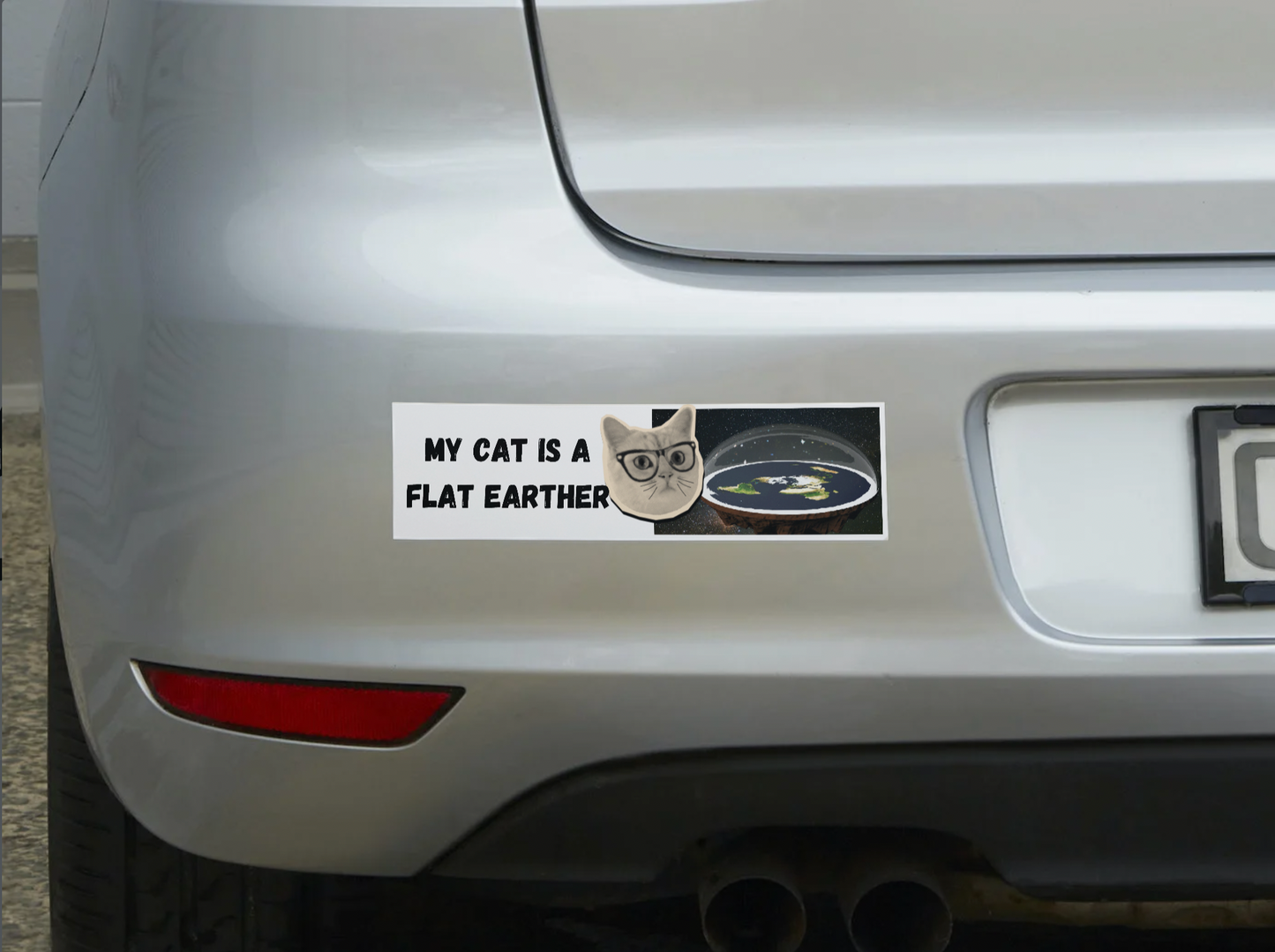 My Cat is a Flat Earther Sticker